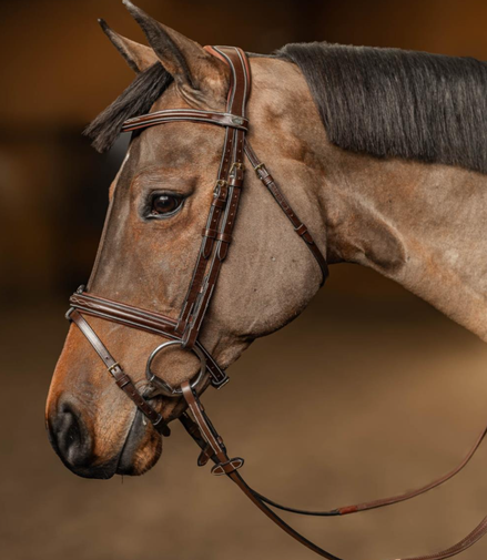 HFI Headstall Pro Line Milano
