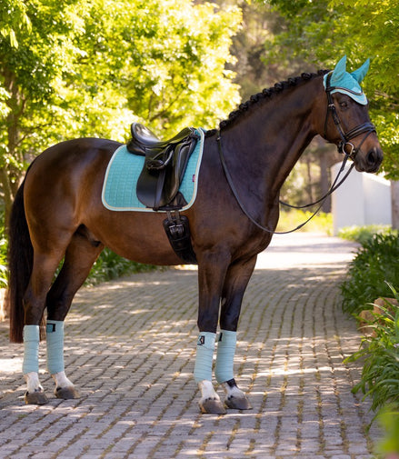 LeMieux Suede Saddle Pad Lagoon SS25