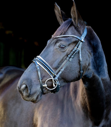 LJ Leathers Pro Selected Trense Sunline Schwarz