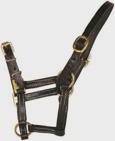 HFI Halter in leather Shetland/foal