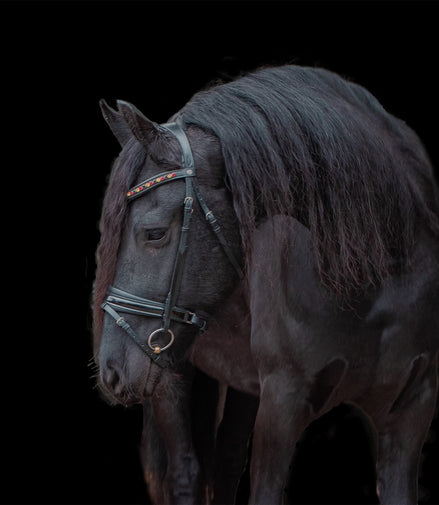 LJ Leathers Frondeel Belgien