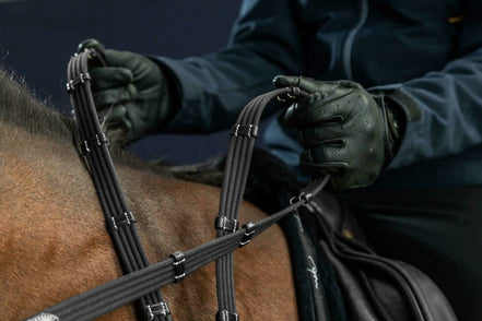 Dy'on 5/8 Web Reins With 9 Leather Loops