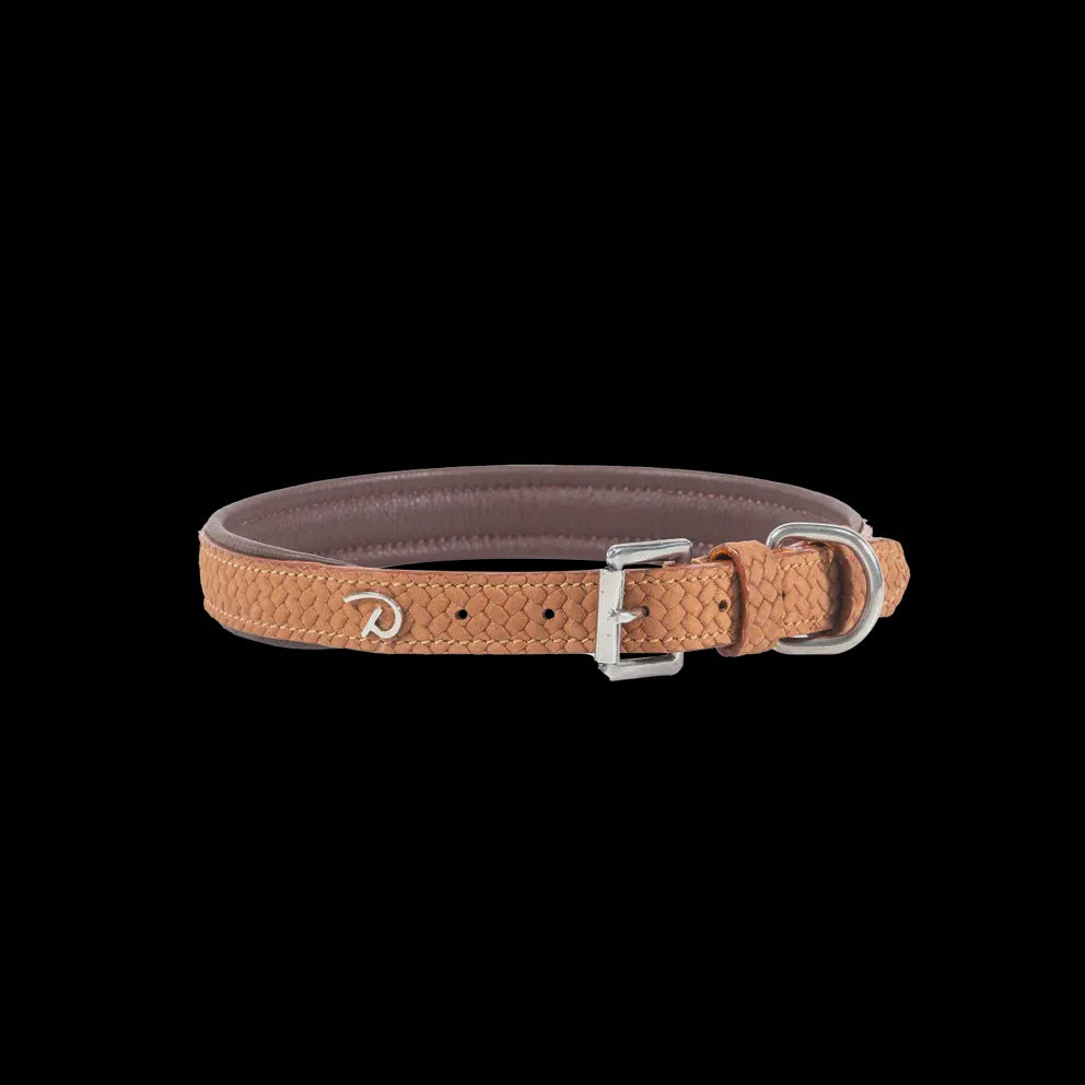 Dy'on Basket Dog Collar