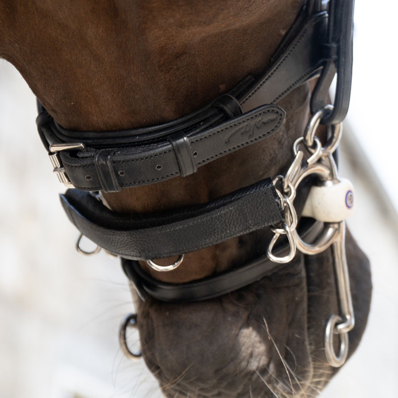 Dy'on Chain Protection