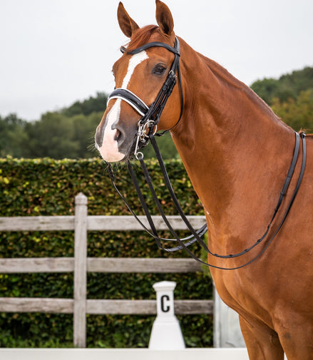 Dy'on Patent Large Crank Noseband White Pad. - New English