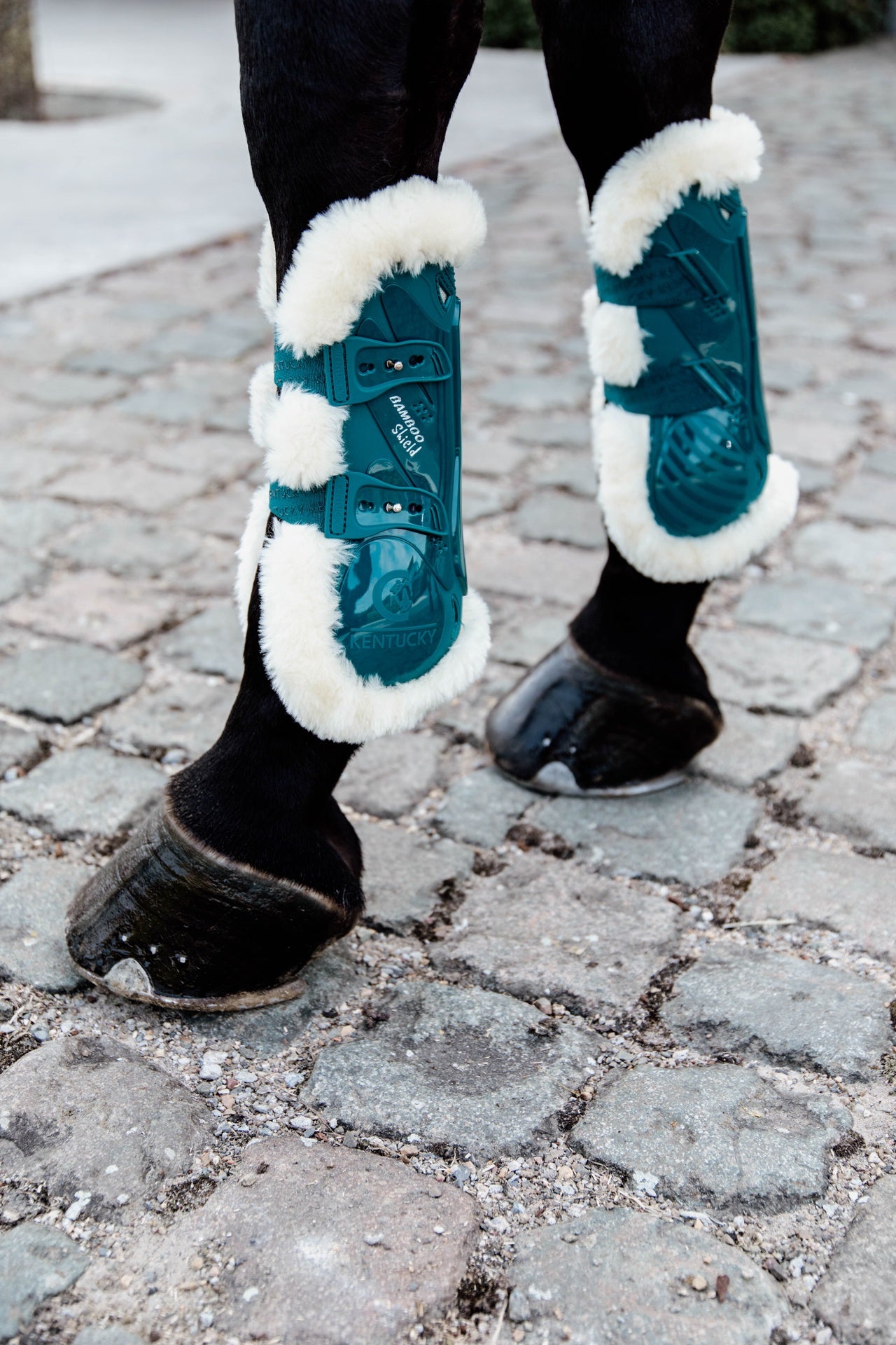 Kentucky Vegan Wool Tendon Boots Bamboo Elastic