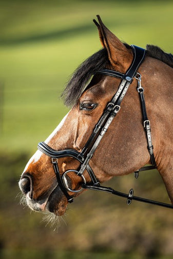 HFI Headstall Techno
