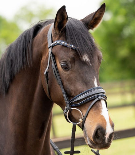 HB Showtime Las Vegas Snaffle Bridle