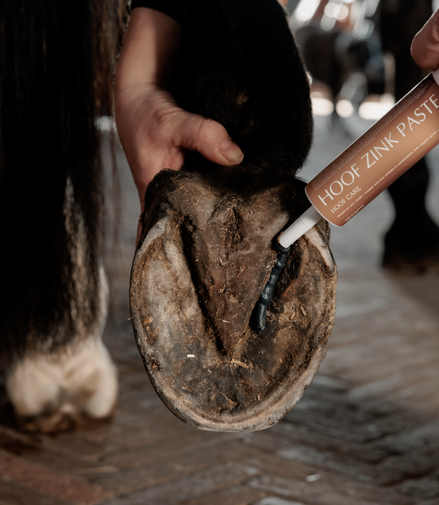 Kentucky Equi Hoef Zink Pasta