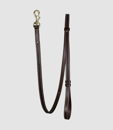 Dy'on Adjustable Dog Leash Bruin