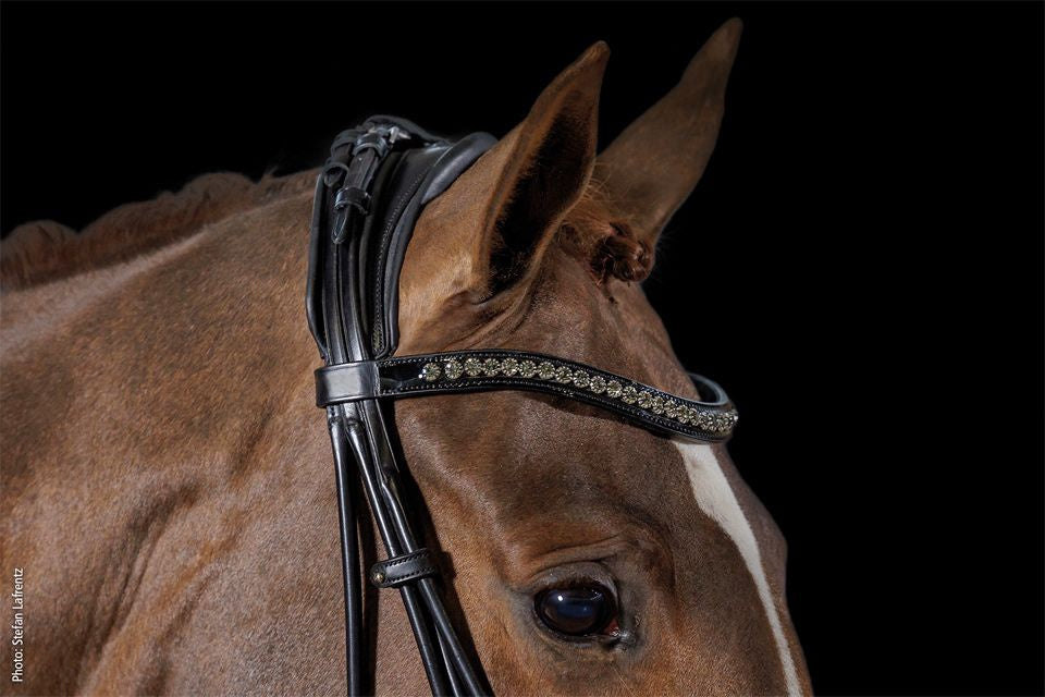 Schockemöhle Kensington Stang & Trens