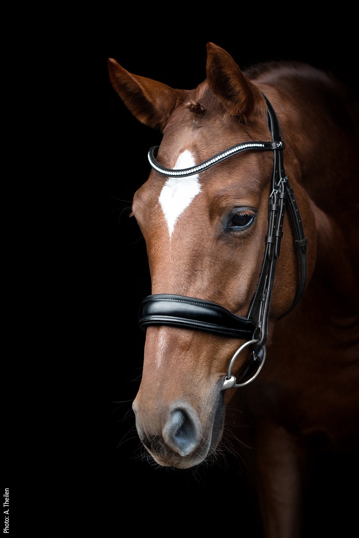 Schockemöhle Slimford Anatomical Hoofdstel