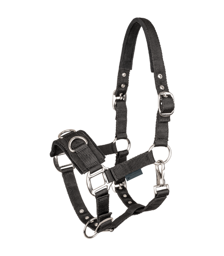 Waldhausen Economic Lunge Halter