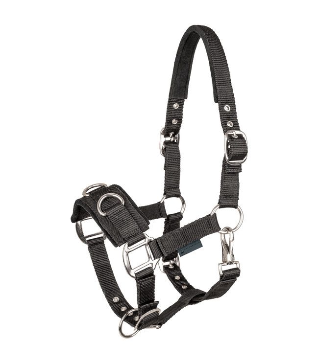 Waldhausen Economic Lunge Halter