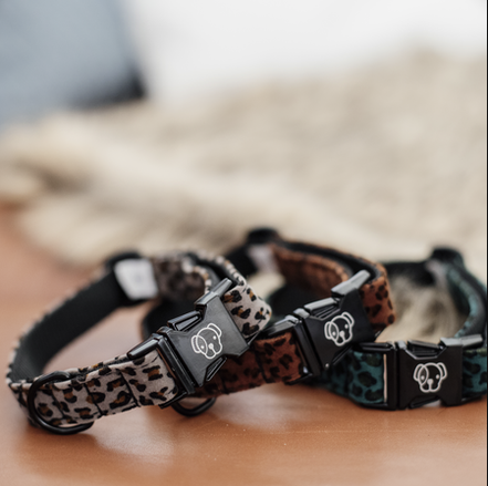 Kentucky Dog Collar Leopard