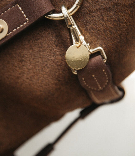 Kentucky-Namensschild