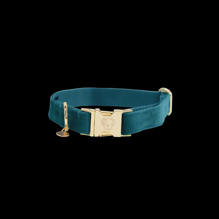 Kentucky Hondenhalsband Velvet