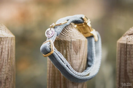 Kentucky Hondenhalsband Velvet