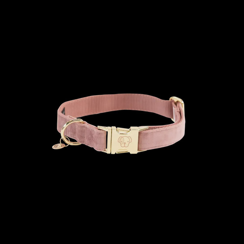 Kentucky Hondenhalsband Velvet