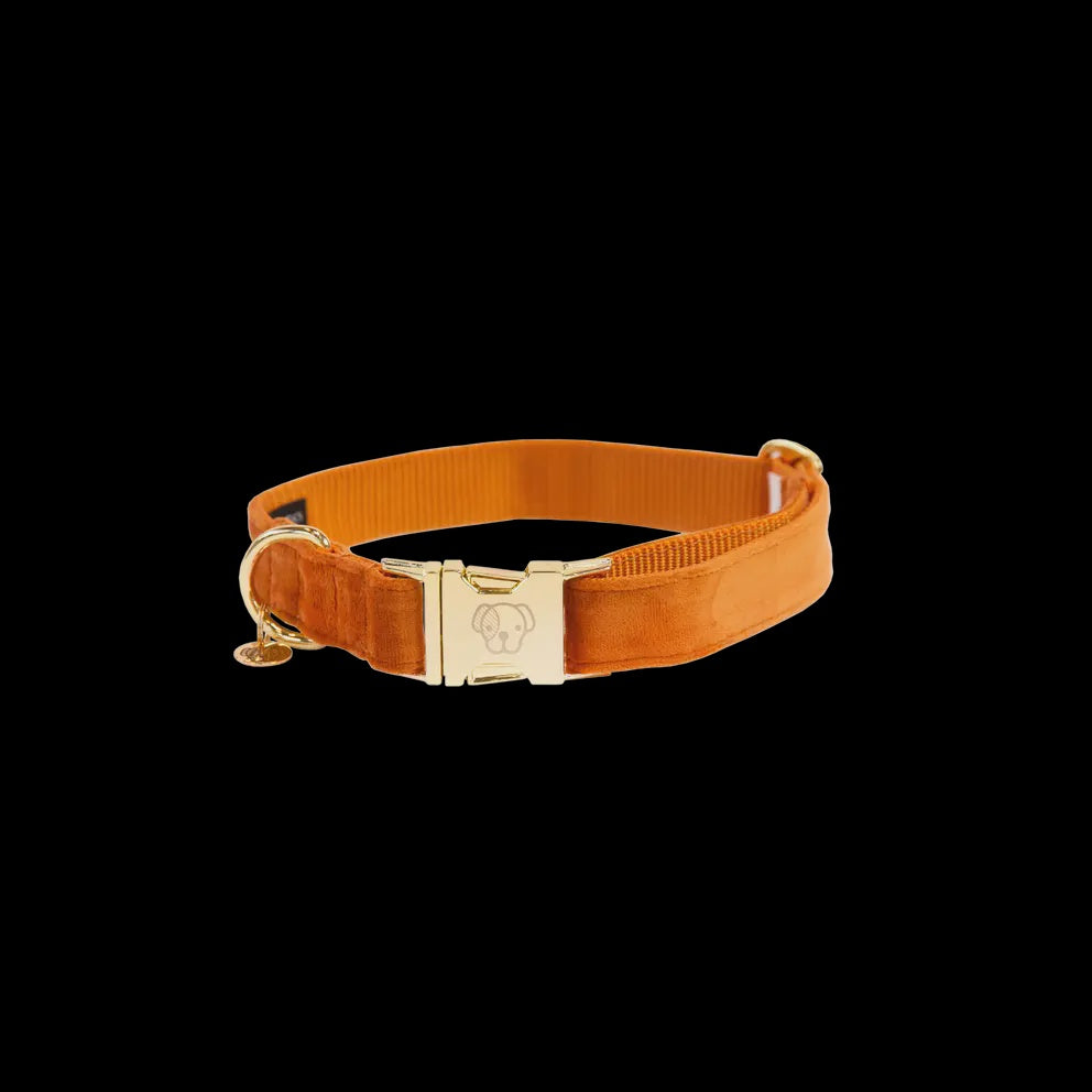 Kentucky Hondenhalsband Velvet