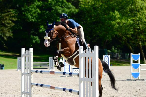 Kentucky Sheepskin Springsingel