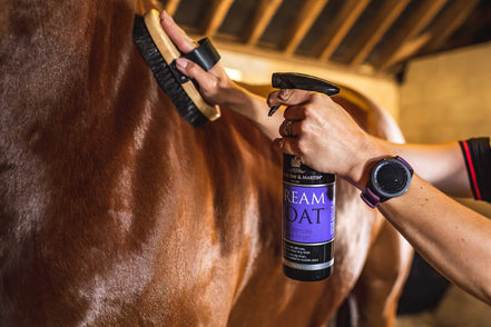 Carr&day&martin Dreamcoat - Glansspray