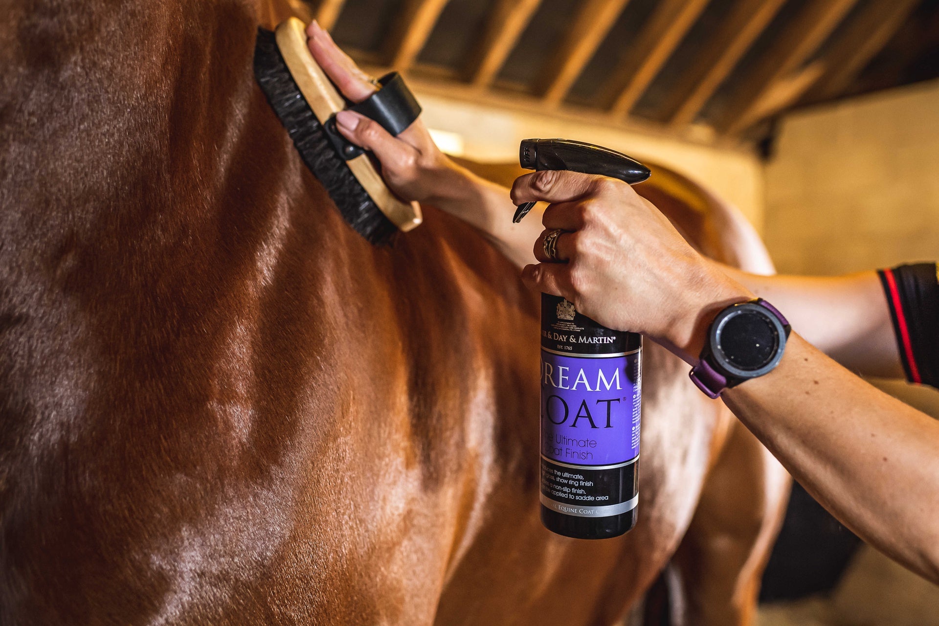 Carr&day&martin Dreamcoat - Glansspray