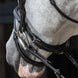 HFI Hoofdstel Merano
