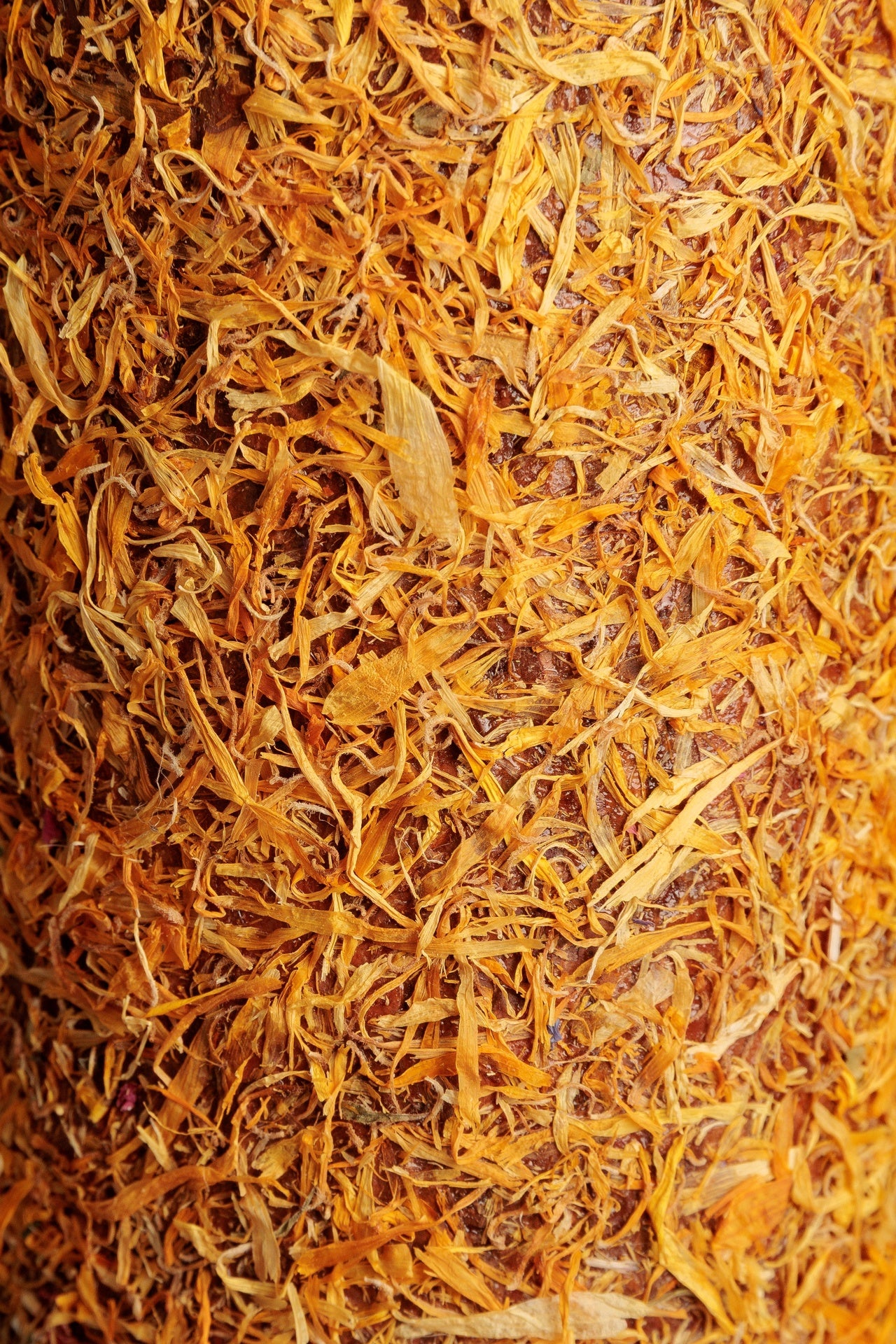 Kentucky Houten relax Paardenspeelgoed De-stress