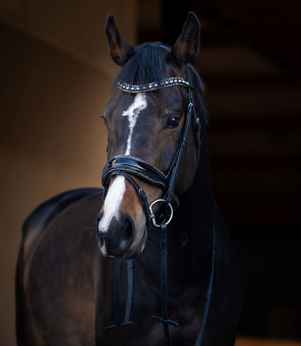 HB Showtime It Is So Special Snaffle Bridle