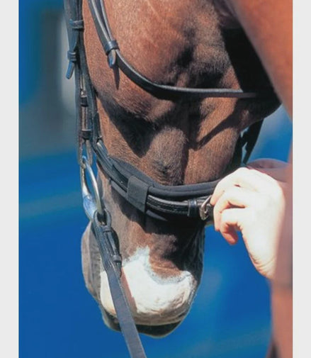 Prolite Hoofdstel Pad – Neusbeschermer