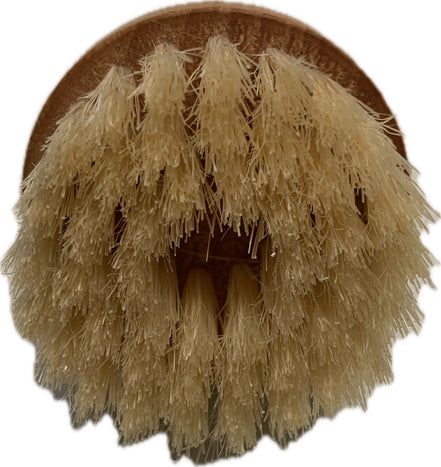 Euroriding Knopborstel voor Lederonderhoud