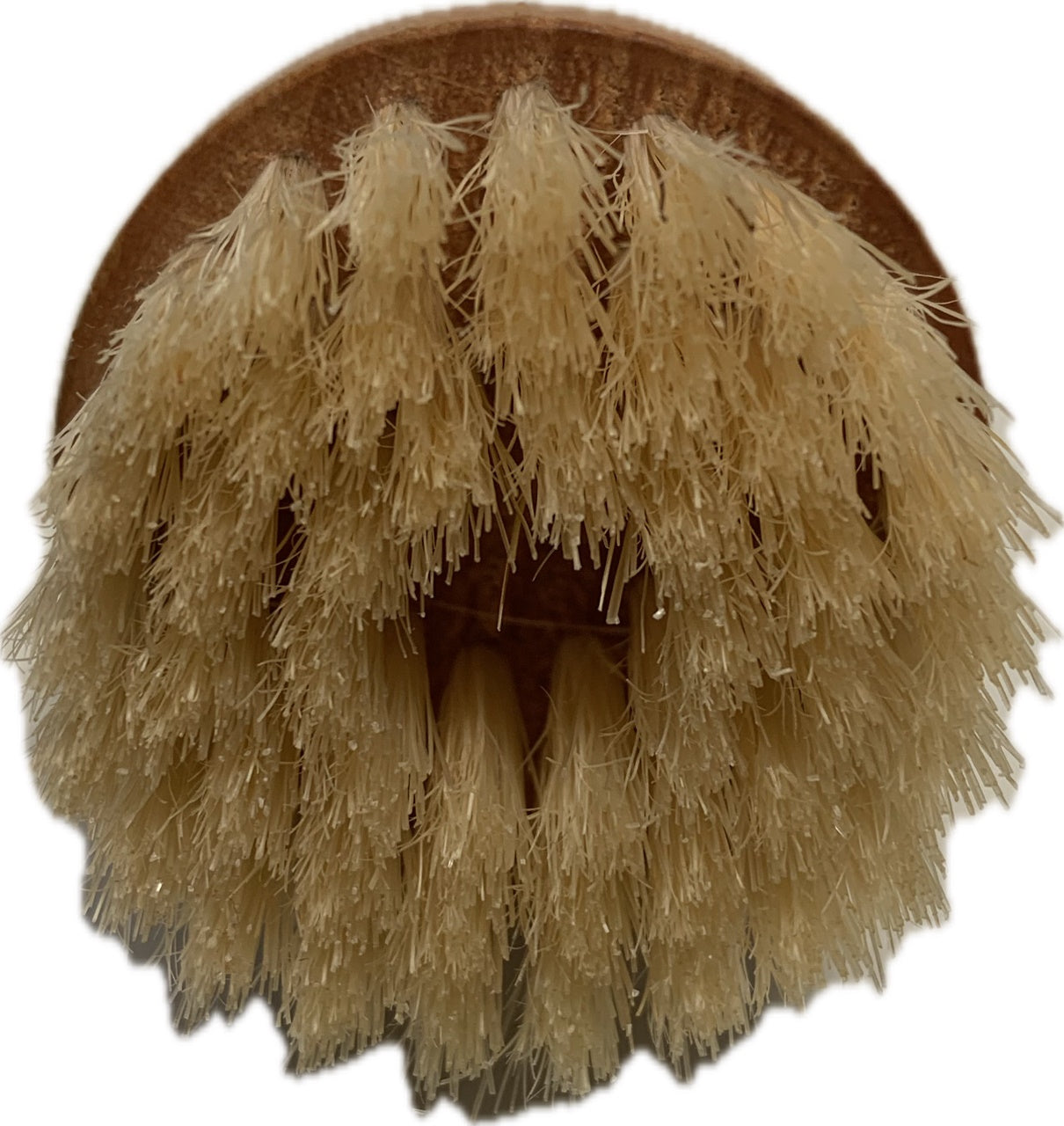 Euroriding Knopborstel voor Lederonderhoud