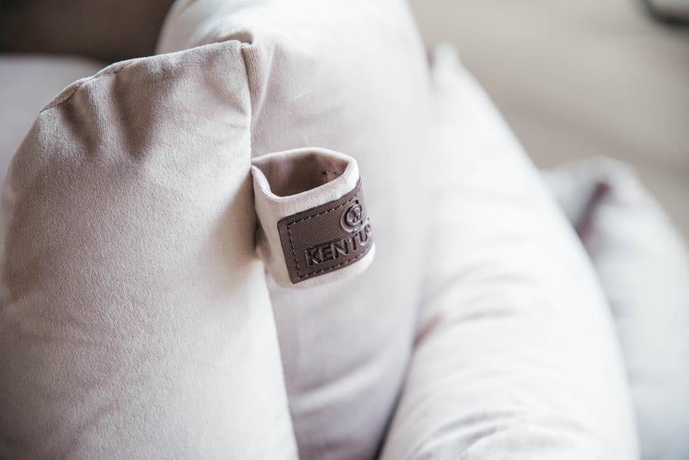 Kentucky Hondenmand Velvet