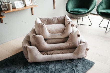 Kentucky Hondenmand Velvet