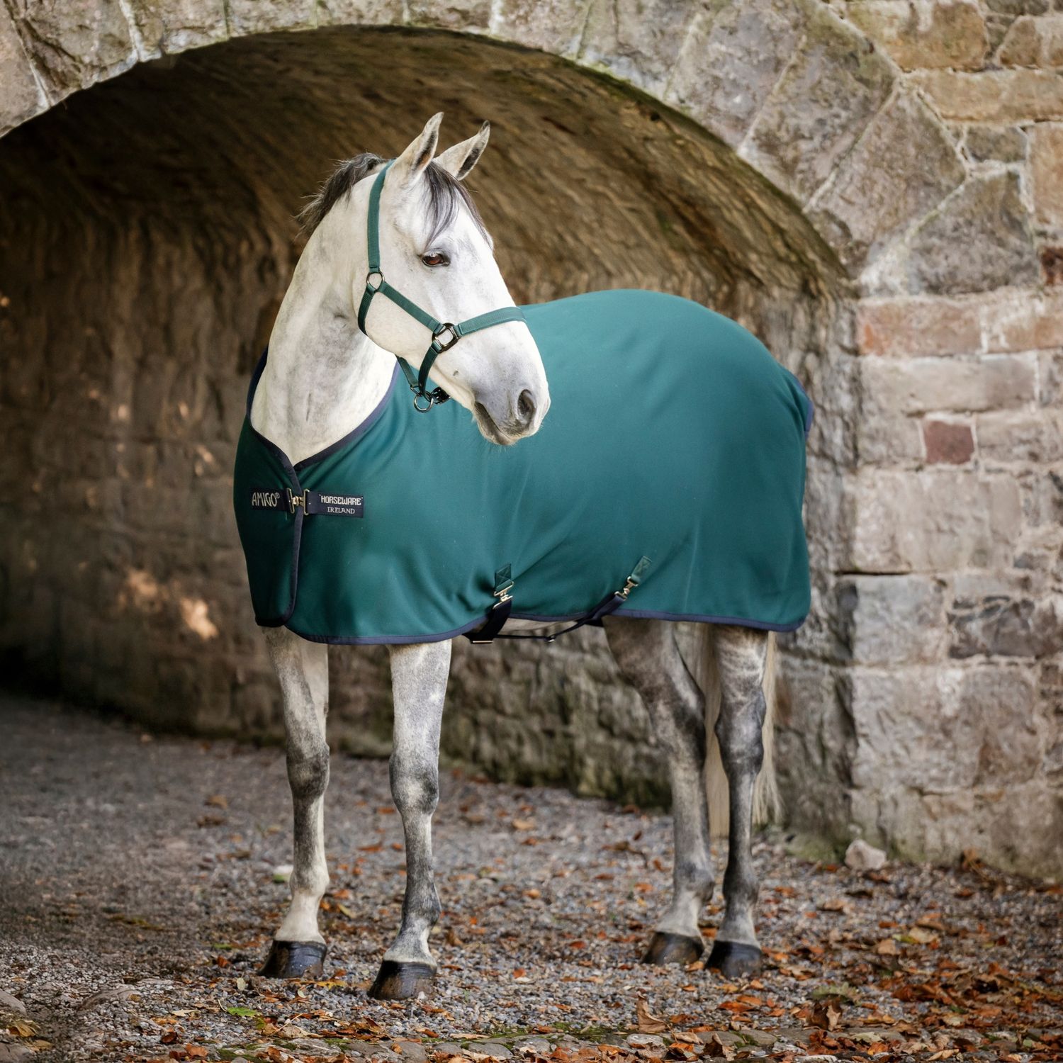 Horseware Amigo Jersey Cooler