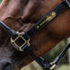 Kentucky Anatomische Leder Halster