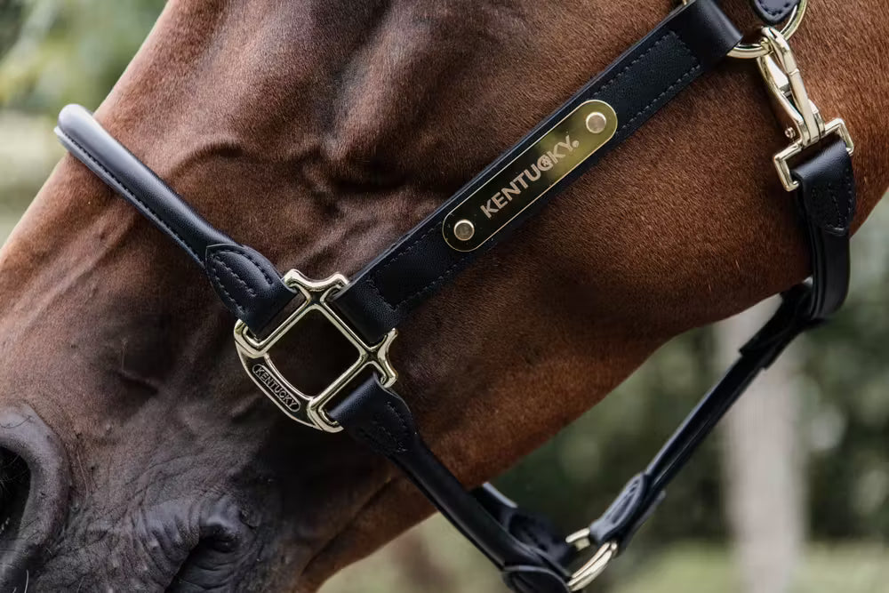 Kentucky Anatomische Leder Halster