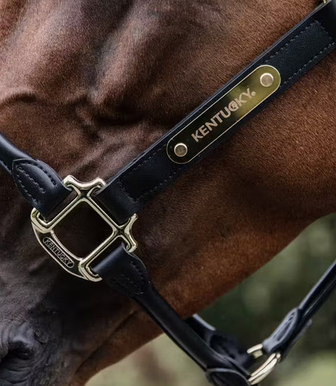 Licol en cuir anatomique du Kentucky