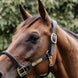 Kentucky Anatomische Leder Halster