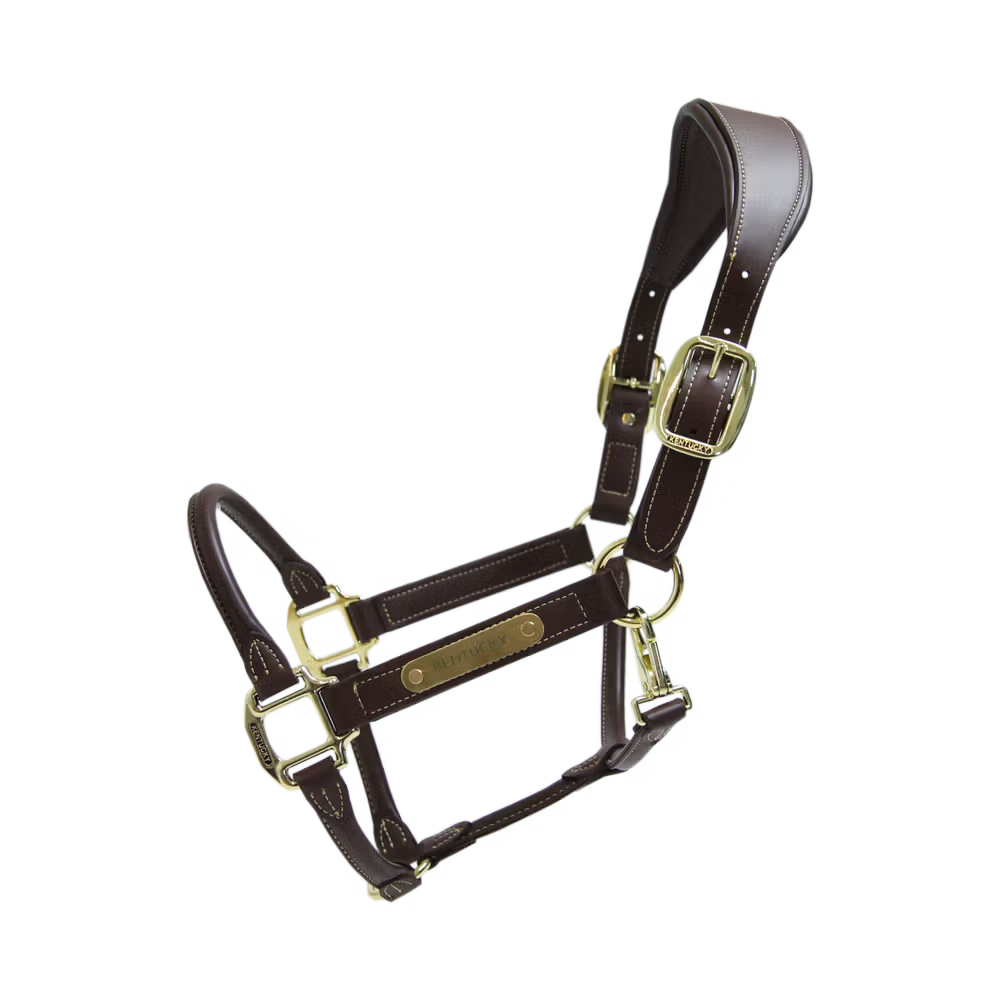 Kentucky Anatomische Leder Halster