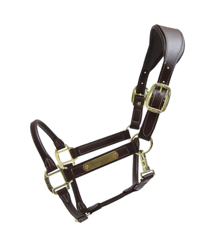 Kentucky Anatomische Leder Halster