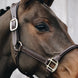Kentucky Anatomische Leder Halster