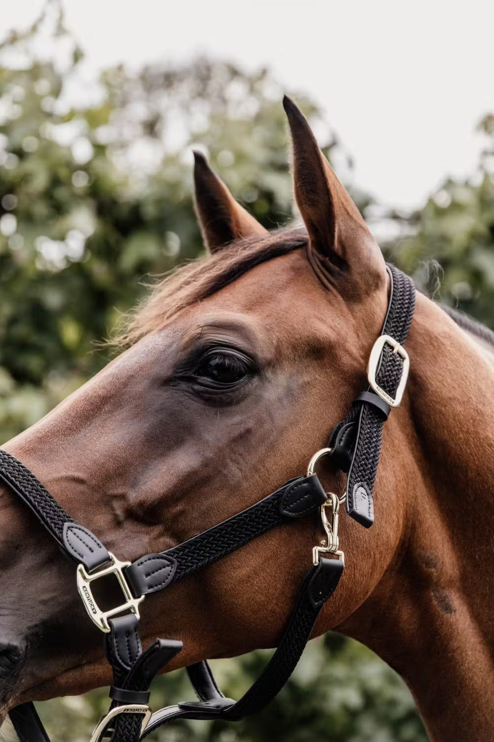 Kentucky Gevlochten Nylon halster
