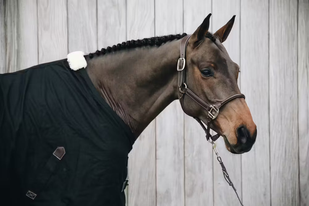 Kentucky Anatomische Leder Halster