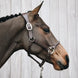 Kentucky Anatomische Leder Halster