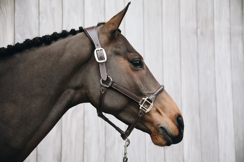 Kentucky Anatomische Leder Halster