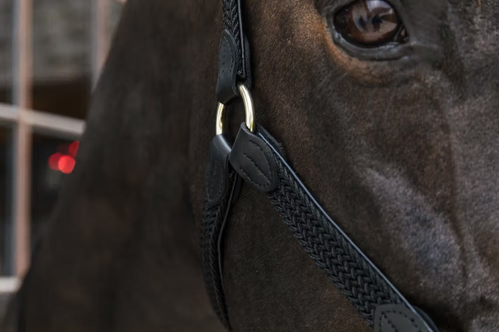 Kentucky Gevlochten Nylon halster