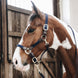 Kentucky Gevlochten Nylon halster