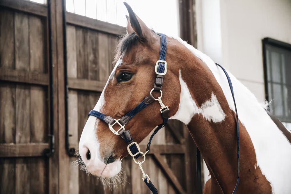 Kentucky Gevlochten Nylon halster